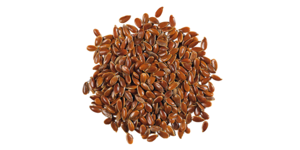 Flax Seeds Supplier, Manufacturer and Exporter in India