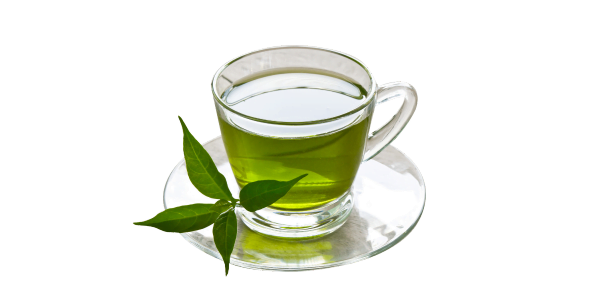 Green Tea Supplier and Exporter in India