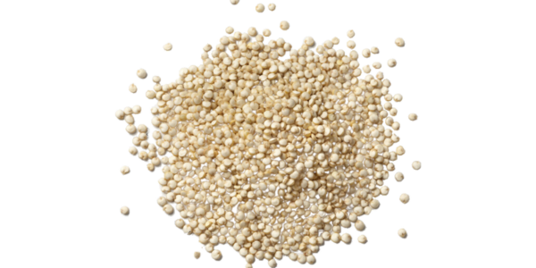 Quinoa Seeds Supplier, Manufacturer and Exporter in India