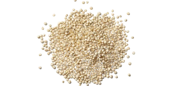 Quinoa Seeds Supplier, Manufacturer and Exporter in India