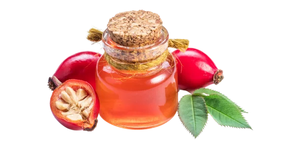 Rosehip Carrier Oil with Bottle