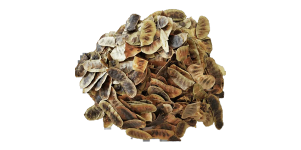 Senna Pods Supplier, Manufacturer and Exporter in India