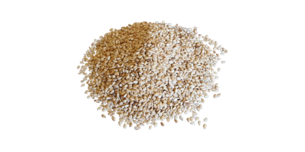 Sesame Seeds Supplier, Manufacturer and Exporter in India