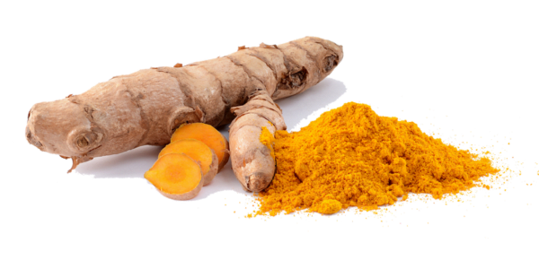 Turmeric Supplier, Manufacturer and Exporter in India