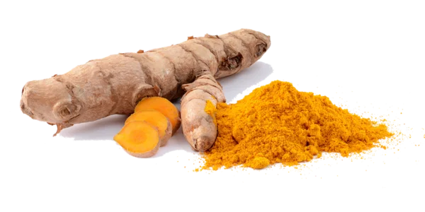 Turmeric Supplier, Manufacturer and Exporter in India