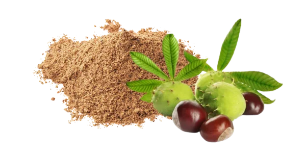 Aesculus Hippocastanum Extract