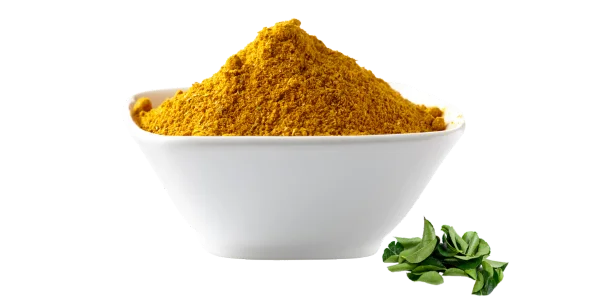 Curry Powder in a White Bowl