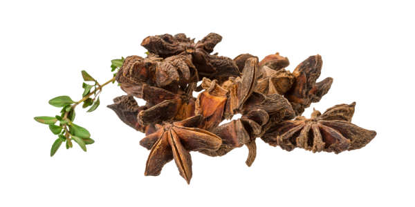 Star Anise Fruits Supplier and Exporters in India