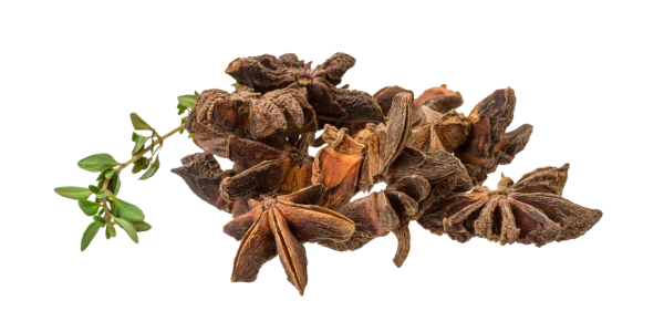 Star Anise Fruits Supplier and Exporters in India