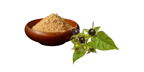 Atropa Belladonna Extract