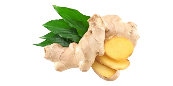 Ginger Root