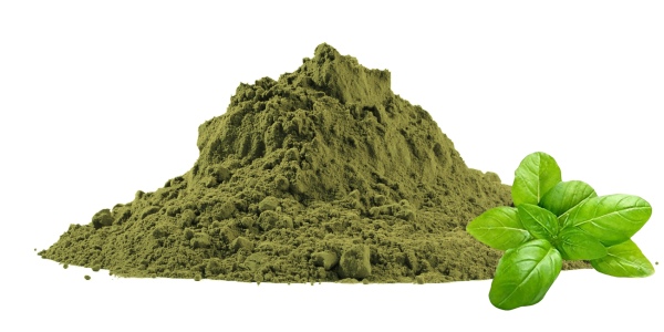 Holy Basil Powder Suppliers | Tulsi Leaf Powder Manufacturer