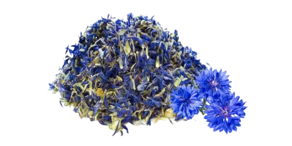 Cornflower Petals Suppliers, Wholesaler and Exporters in India