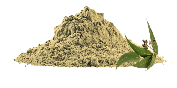 Eucalyptus Leaf Powder Bulk Suppliers and Manufacturers