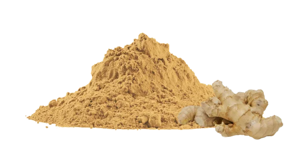 Ginger Powder Manufacturers, Bulk Suppliers and Wholesalers