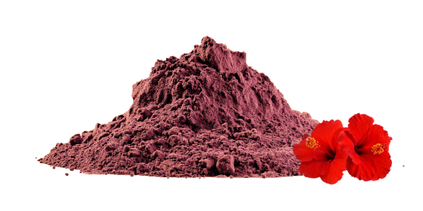 Hibiscus Powder Manufacturers, Wholesalers and Suppliers