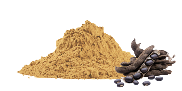 Wholesale Bulk Mucuna Pruriens Powder Suppliers & Exporters