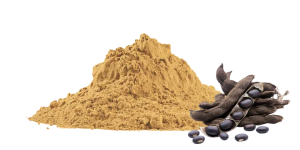 Wholesale Bulk Mucuna Pruriens Powder Suppliers & Exporters