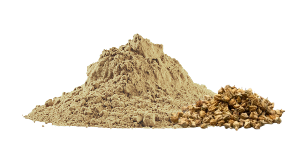 Tribulus Powder Manufacturers, Suppliers and Exporters