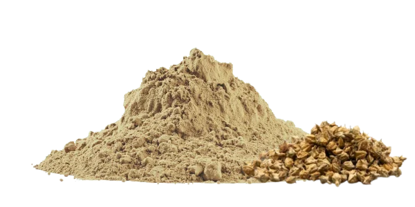 Tribulus Powder Manufacturers, Suppliers and Exporters