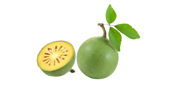 Bilva Fruit Suppliers, Wholesaler and Exporters in India