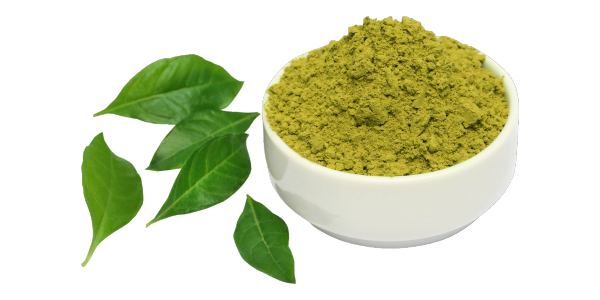 Henna Powder Manufacturers, Suppliers and Exporters in India