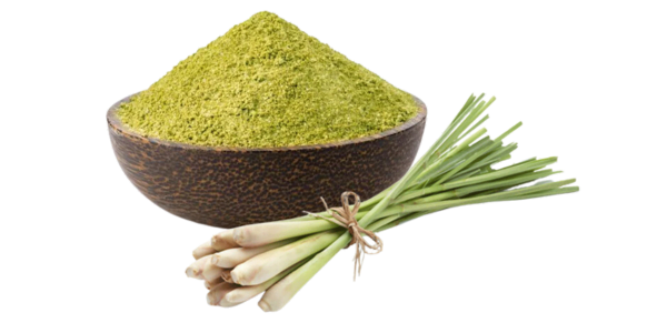 Lemon Grass Powder Suppliers, Wholesalers and Exporters