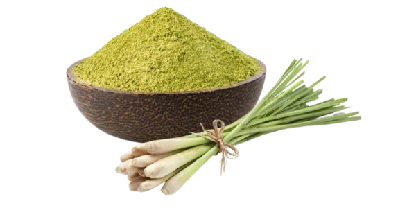 Lemon Grass Powder Suppliers, Wholesalers and Exporters