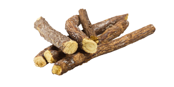 Licorice Roots Suppliers, Wholesalers and Exporters