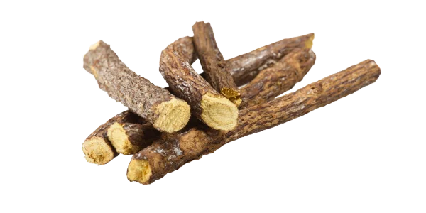 Licorice Roots Suppliers, Wholesalers and Exporters