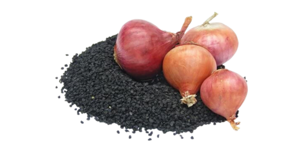 Onion Seeds Suppliers, Wholesalers and Exporters