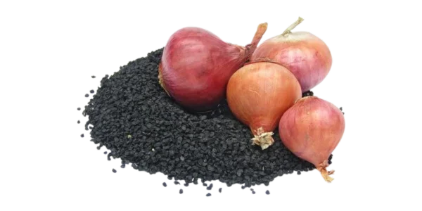 Onion Seeds Suppliers, Wholesalers and Exporters