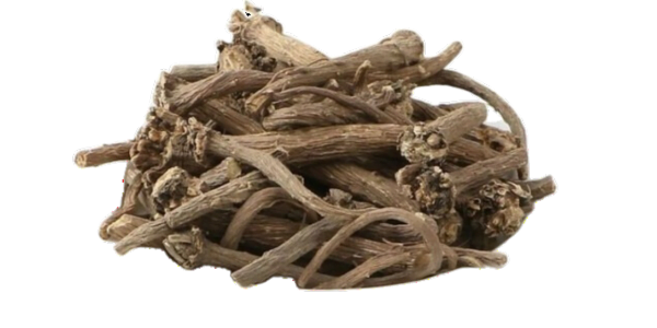 Pellitory Roots Suppliers, Wholesaler and Exporters in India