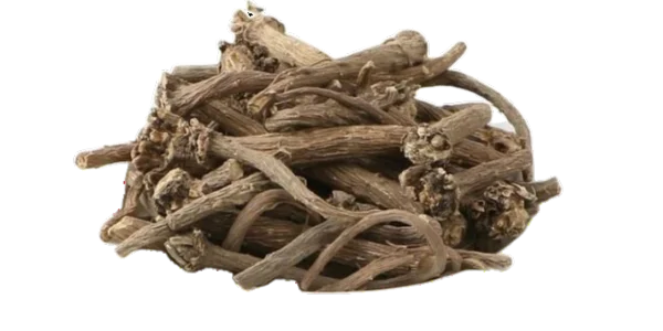 Pellitory Roots Suppliers, Wholesaler and Exporters in India