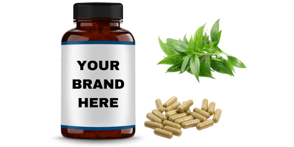 Andrographis Extract Capsules Manufacturers and Bulk Suppliers