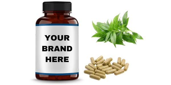 Andrographis Extract Capsules Manufacturers and Bulk Suppliers