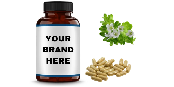 Bacopa Monnieri Extract Capsules Manufacturers and Bulk Suppliers