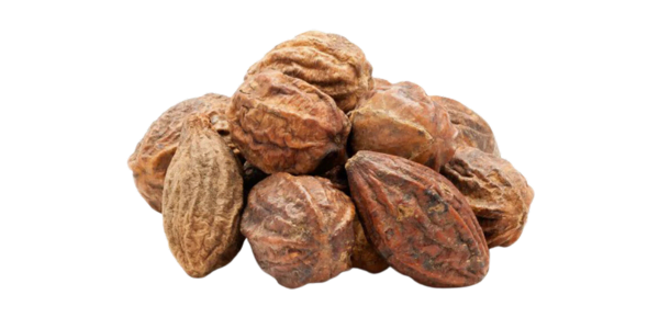 Terminalia Chebula Suppliers, Wholesaler and Exporters in India