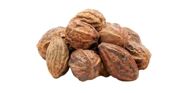Terminalia Chebula Suppliers, Wholesaler and Exporters in India