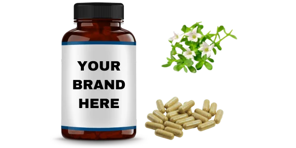 Bacopa Monnieri Capsules Manufacturers and Bulk Suppliers