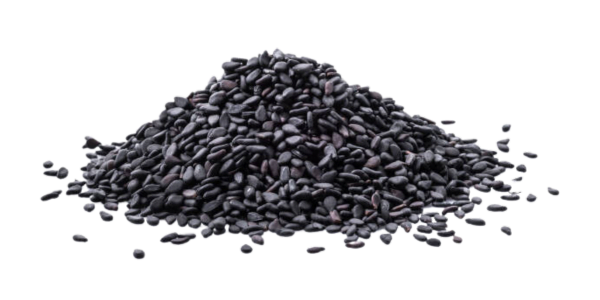Black Sesame Seeds Suppliers and Wholesalers
