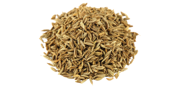 Cumin Seeds Suppliers, Wholesalers and Exporters