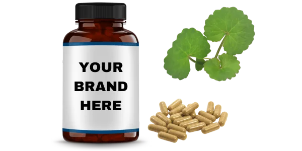 Gotu Kola Extract Capsules Manufacturers and Bulk Suppliers
