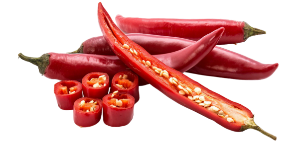 Red Chilli Peppers Supplier, Manufacturer and Exporter in India