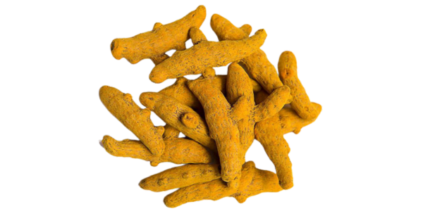 Turmeric Finger Supplier and Exporters in India