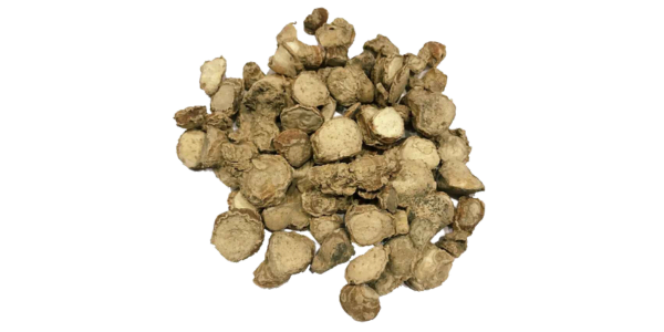 Zeodary Root Supplier and Exporter in India