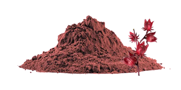 Hibiscus Sabdariffa Extract Manufacturers and Suppliers