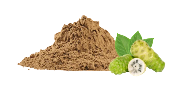 Morinda Citrifolia Extract Manufacturers and Suppliers