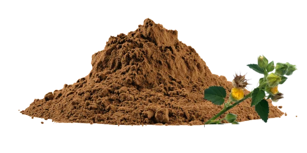 Sida Cordifolia Extract Manufacturers and Suppliers