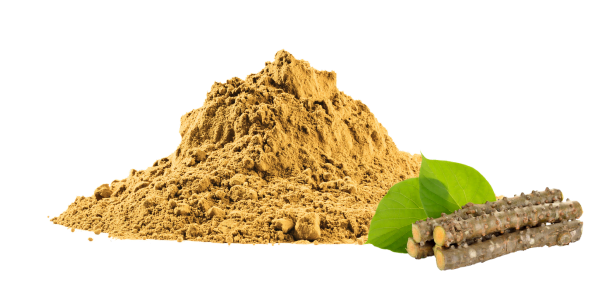 Tinospora Cordifolia Extract Manufacturers and Suppliers